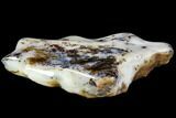 Polished Dendritic Agate - Madagascar #108347-3